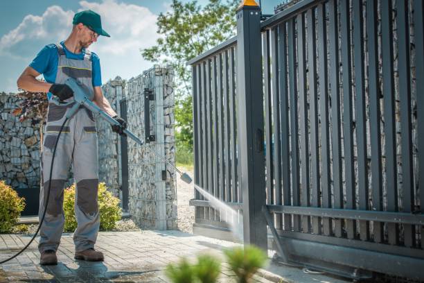 Best Driveway Pressure Washing  in Mount Plymouth, FL