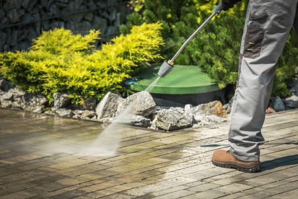 Best Building Exterior Washing  in Mount Plymouth, FL